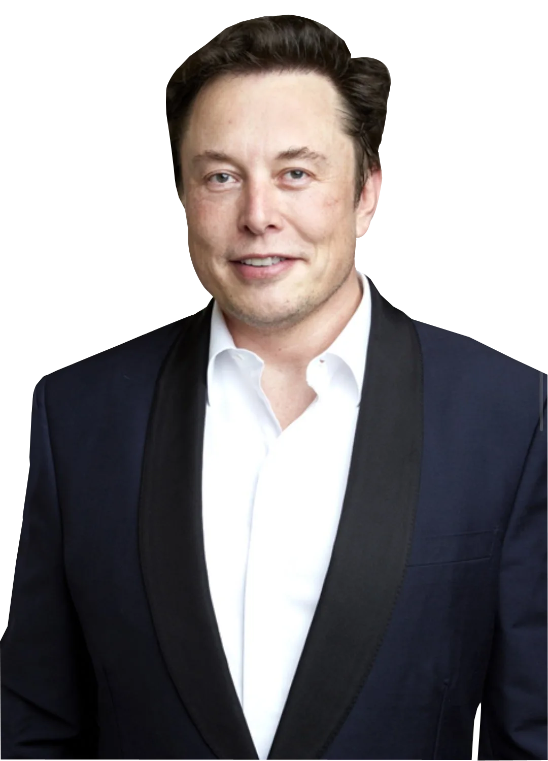 Foto ai mentor elon
